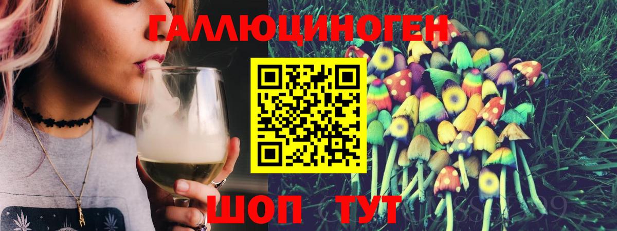 Галлюциногенные грибы Psilocybine cubensis Богородск